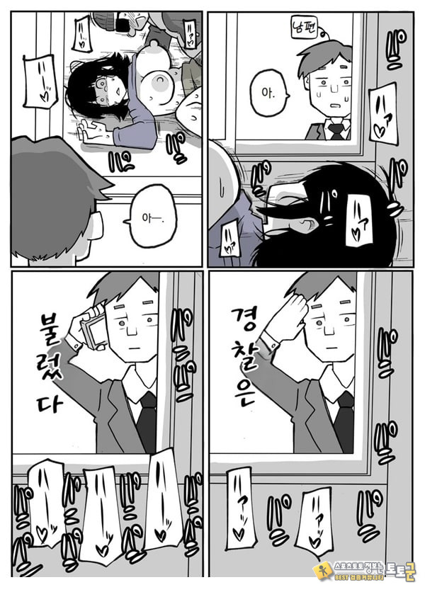 어느 시골마을의 주부 연속 강간 사건