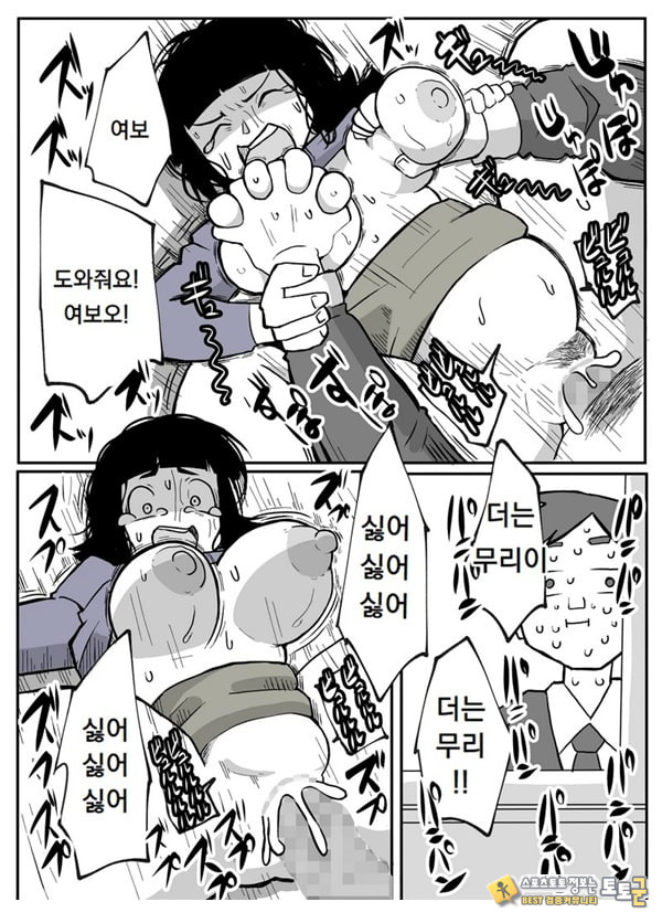어느 시골마을의 주부 연속 강간 사건