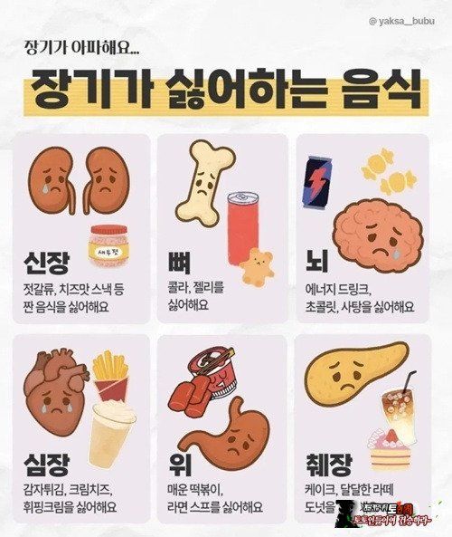 풀만 뜯어먹고 살아야함 ㅠㅡㅠ