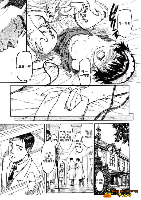 붉은 물 붉은 물