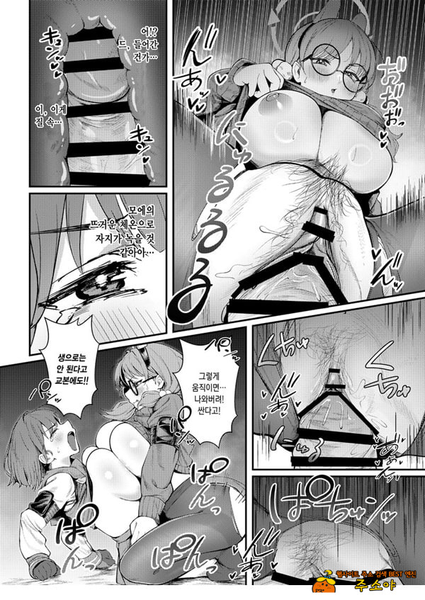 토끼장에서 사랑을 담아서 토끼장에서 사랑을 담아서