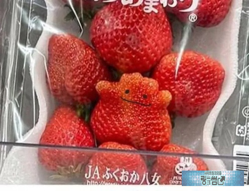 상품화하면 잘 팔릴 듯