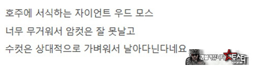 징그러운건 다 호주에 있네