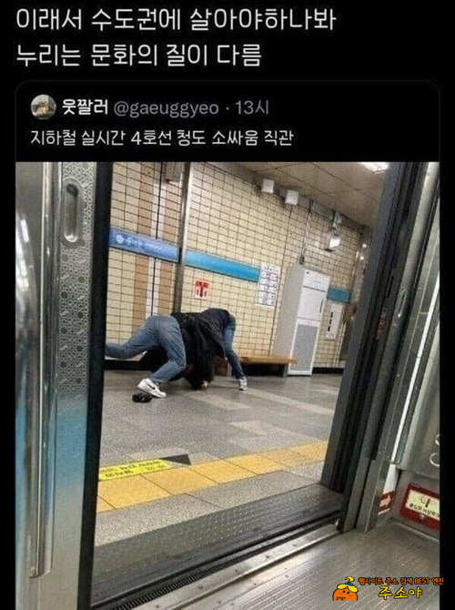 작명이 어떻게 이렇게 찰떡일까 작명이 어떻게 이렇게 찰떡일까