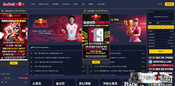 레드불 레드불