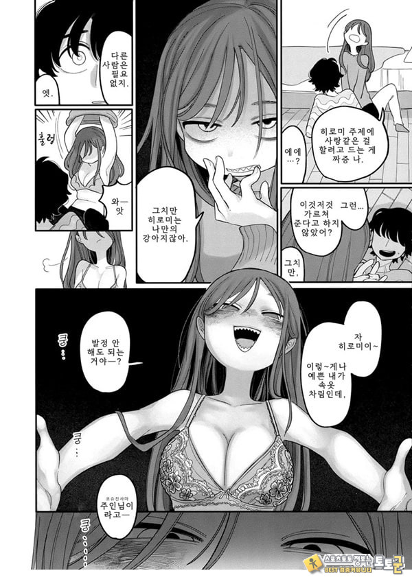 개는 손을 물지 않는다