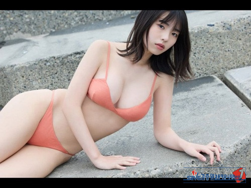 현시점 일본 1티어