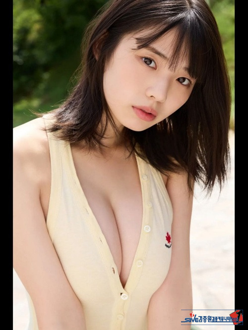 현시점 일본 1티어