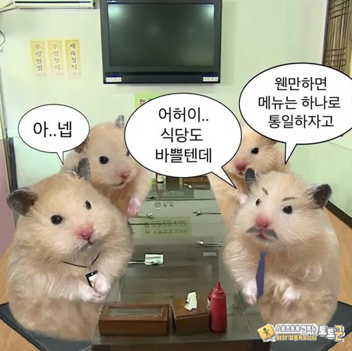 뭐지? 이 씹새는? 뭐지? 이 씹새는?