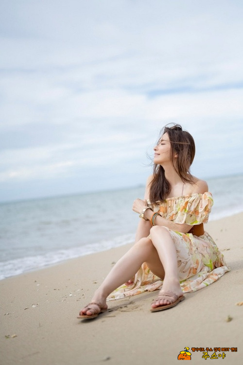 토다 레이