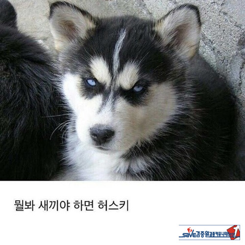 구분법