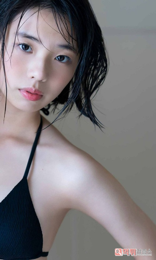 다양한 포즈의 히나