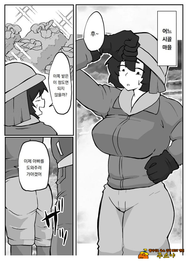 어느 시골마을의 주부 연속 강간 사건