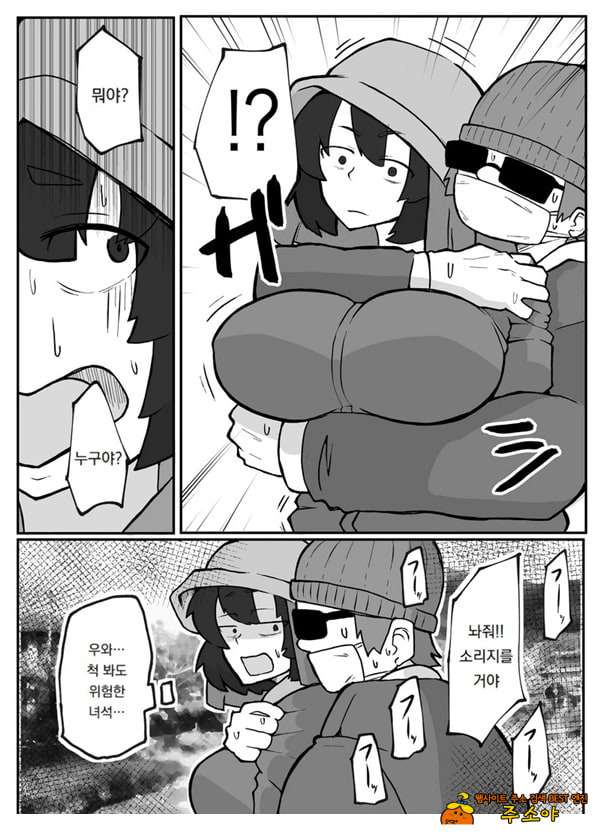 어느 시골마을의 주부 연속 강간 사건
