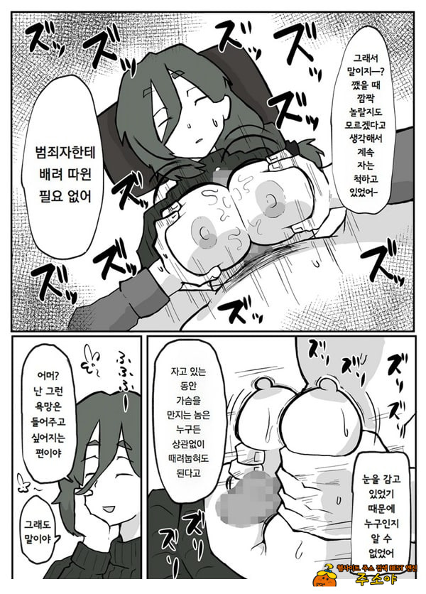 어느 시골마을의 주부 연속 강간 사건