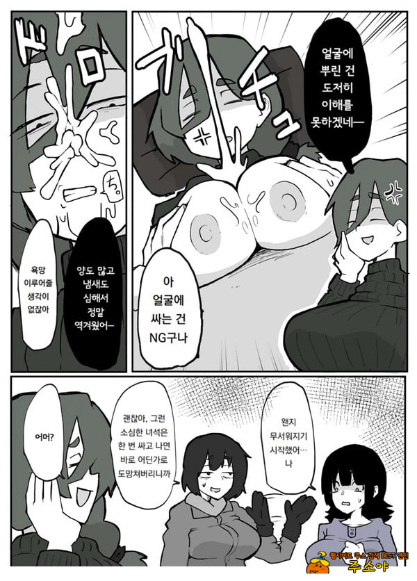 어느 시골마을의 주부 연속 강간 사건
