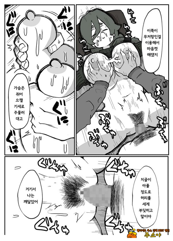 어느 시골마을의 주부 연속 강간 사건