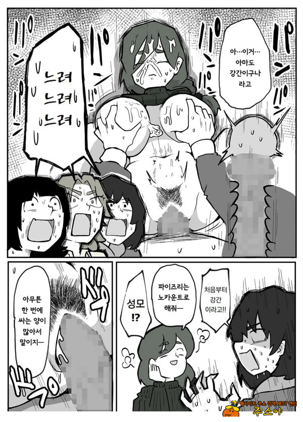 어느 시골마을의 주부 연속 강간 사건