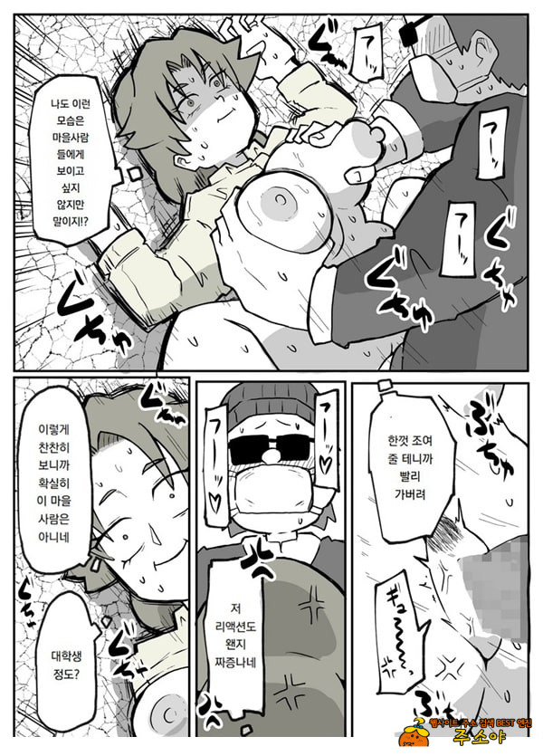 어느 시골마을의 주부 연속 강간 사건