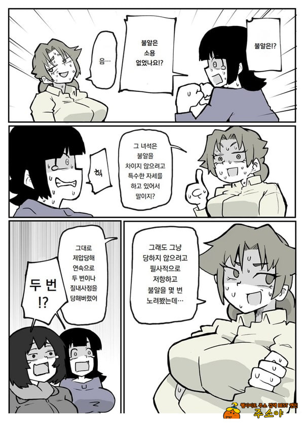 어느 시골마을의 주부 연속 강간 사건