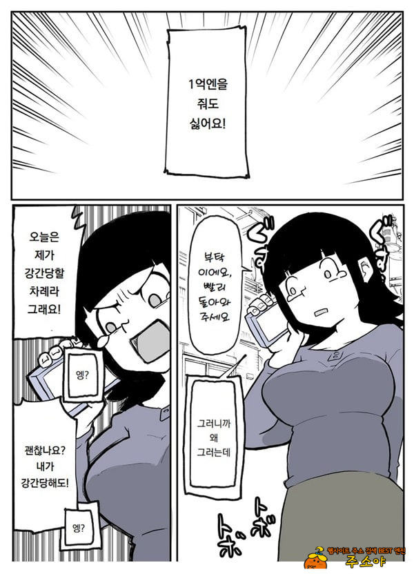 어느 시골마을의 주부 연속 강간 사건