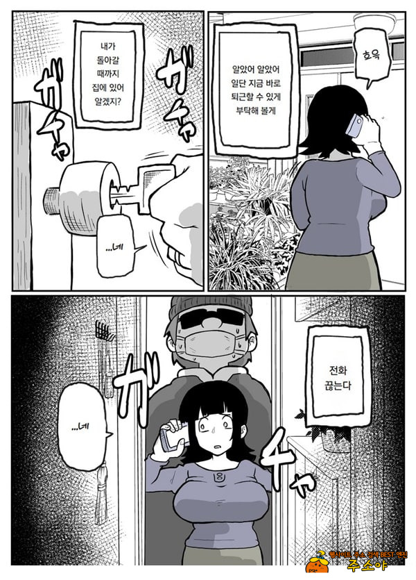 어느 시골마을의 주부 연속 강간 사건