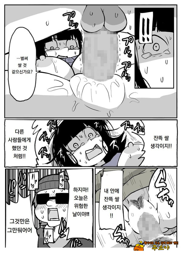 어느 시골마을의 주부 연속 강간 사건