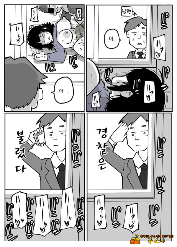 어느 시골마을의 주부 연속 강간 사건