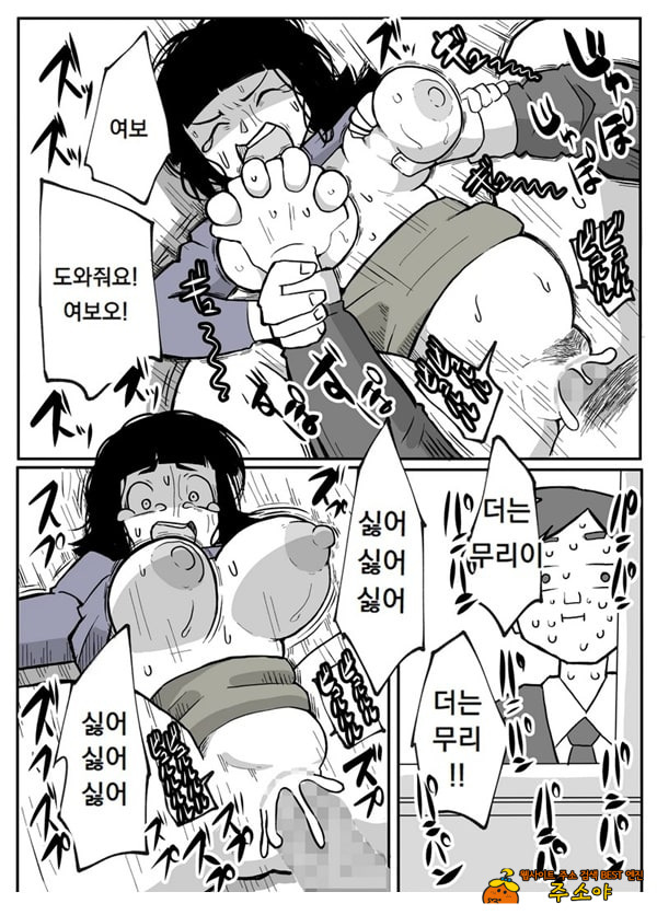 어느 시골마을의 주부 연속 강간 사건