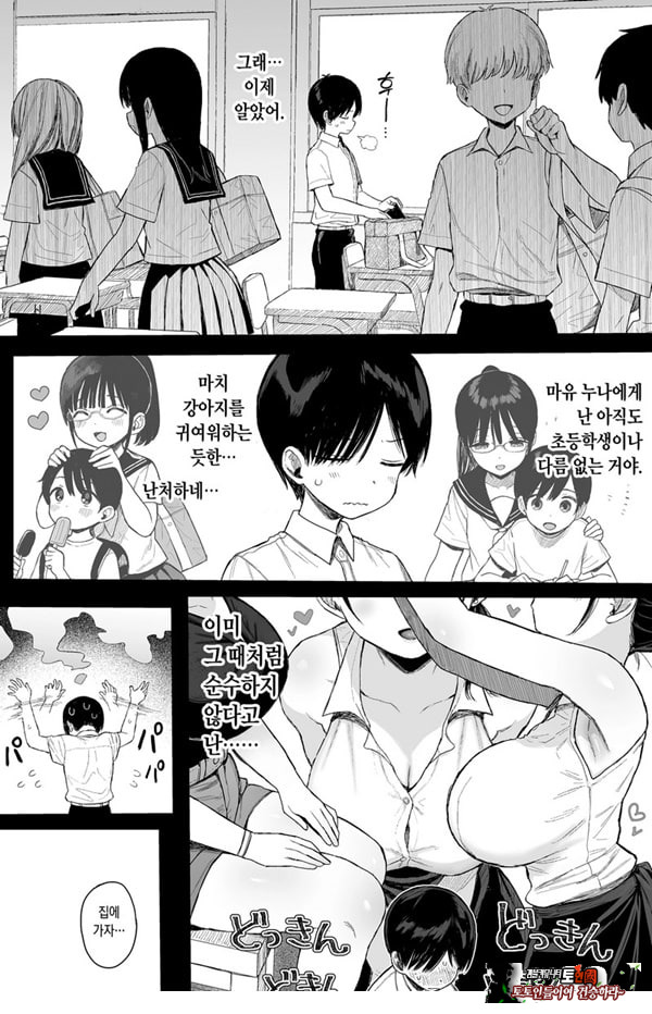 소꿉친구인 야한 누나는 좋아하시나요