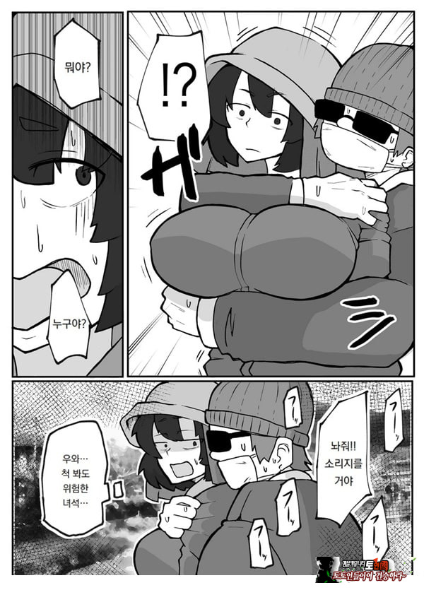 어느 시골마을의 주부 연속 강간 사건