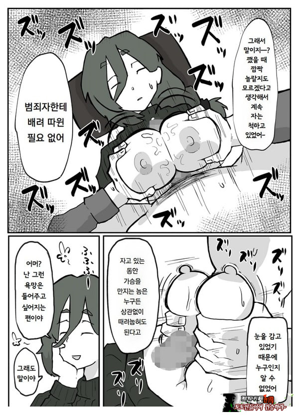 어느 시골마을의 주부 연속 강간 사건
