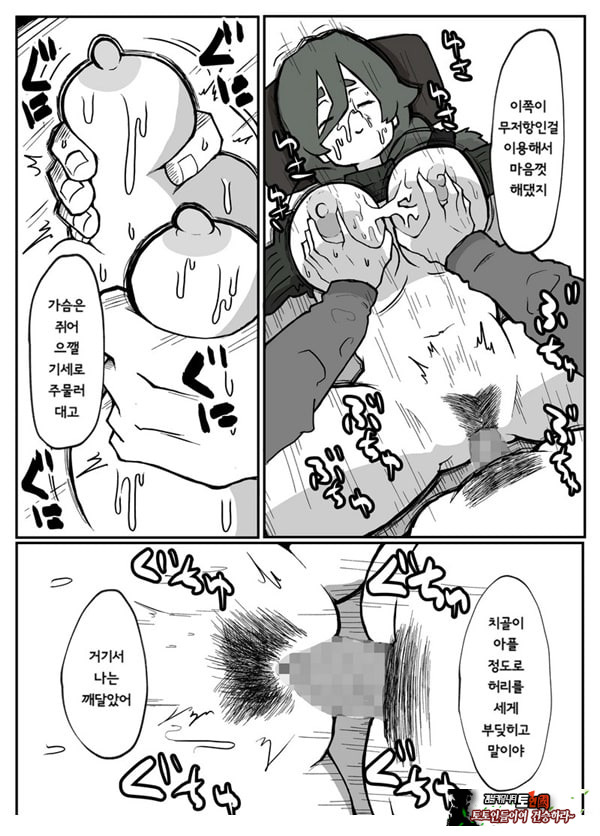 어느 시골마을의 주부 연속 강간 사건