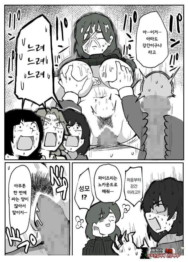 어느 시골마을의 주부 연속 강간 사건