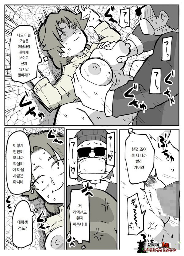 어느 시골마을의 주부 연속 강간 사건