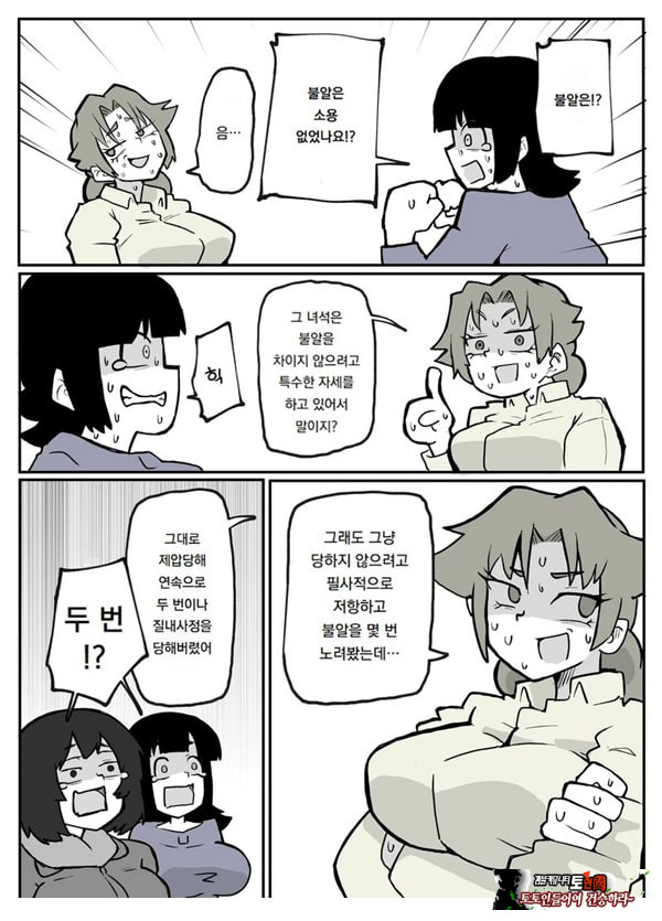 어느 시골마을의 주부 연속 강간 사건