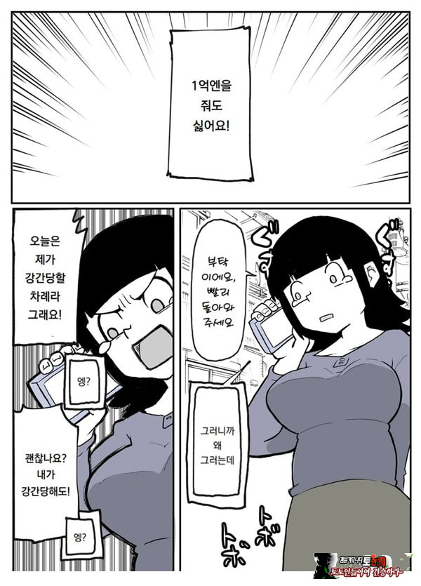어느 시골마을의 주부 연속 강간 사건