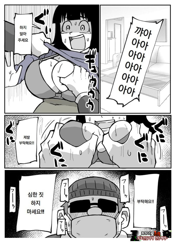 어느 시골마을의 주부 연속 강간 사건