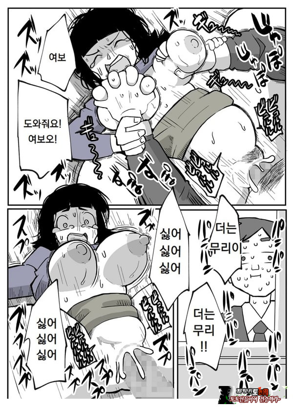 어느 시골마을의 주부 연속 강간 사건