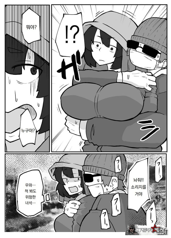 어느 시골마을의 주부 연속 강간 사건
