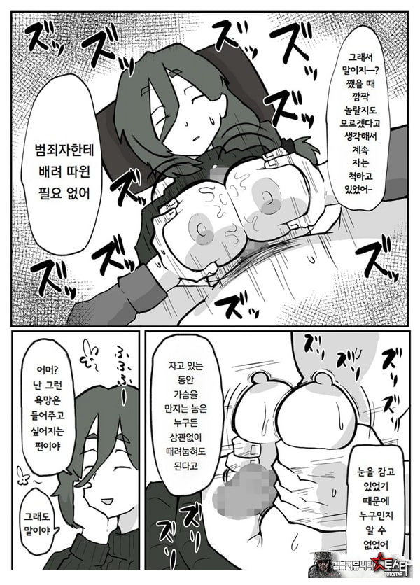 어느 시골마을의 주부 연속 강간 사건