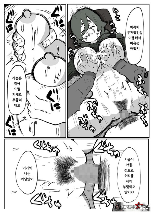 어느 시골마을의 주부 연속 강간 사건