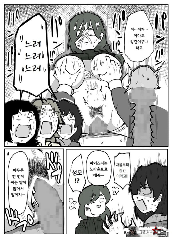 어느 시골마을의 주부 연속 강간 사건