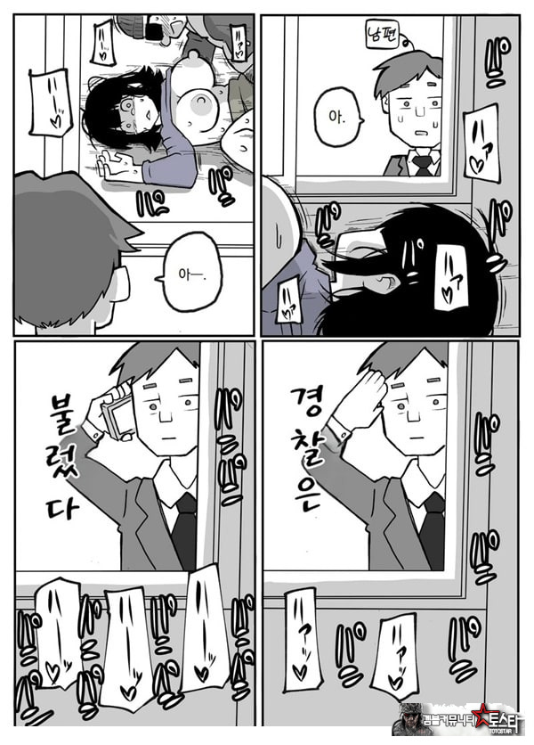 어느 시골마을의 주부 연속 강간 사건