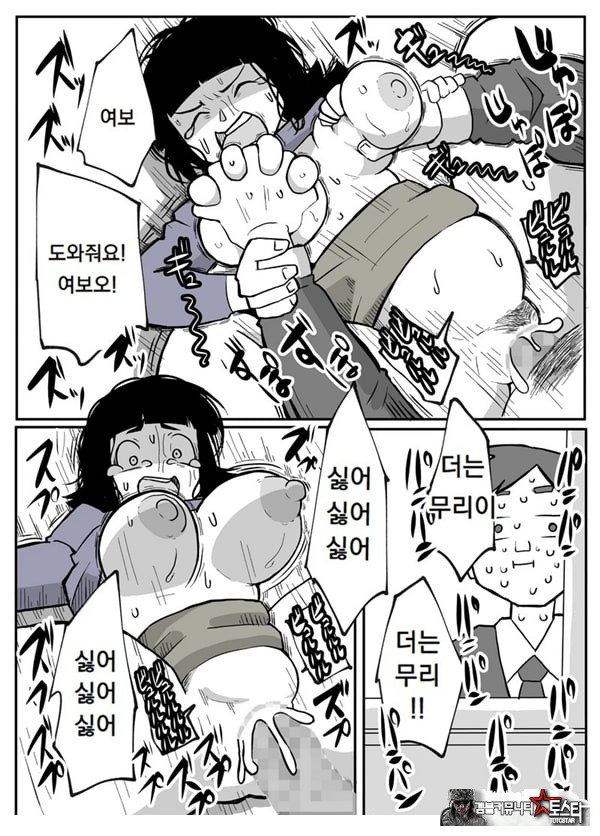 어느 시골마을의 주부 연속 강간 사건
