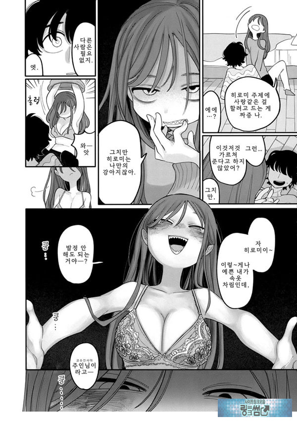 개는 손을 물지 않는다
