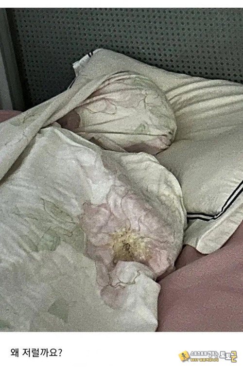 전생에 이집트왕자 전생에 이집트왕자