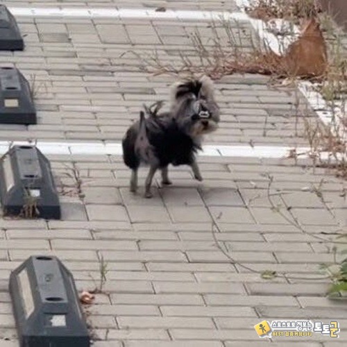 천잰대??