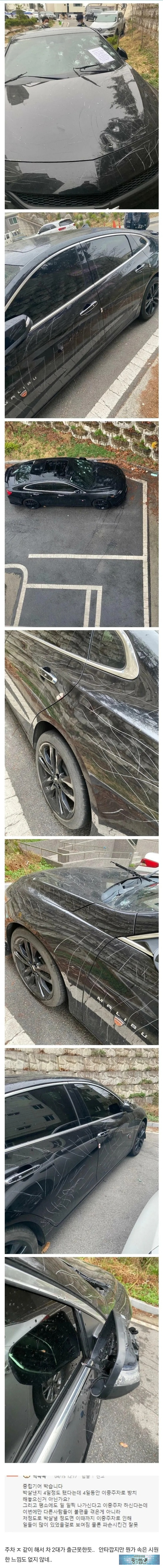 주차를 제대로 하는게