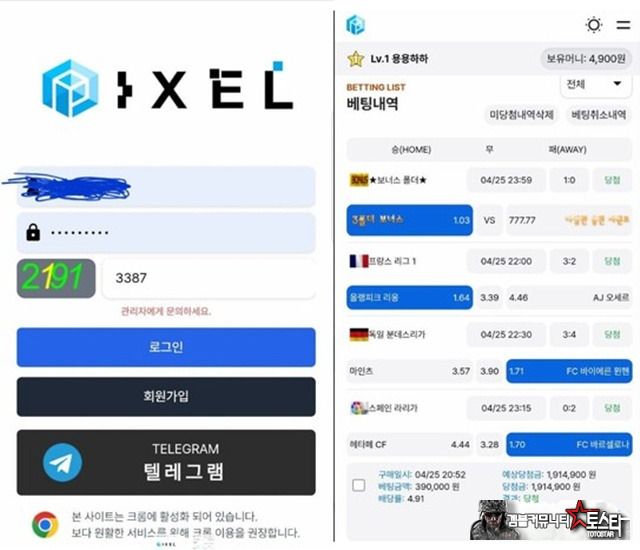 픽셀 먹튀 확정 픽셀 먹튀 확정